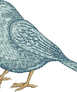 Adorable Bird and Coordinating Birdhouse