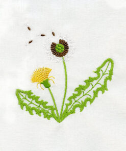 Wildflowers Collection and Apron Project