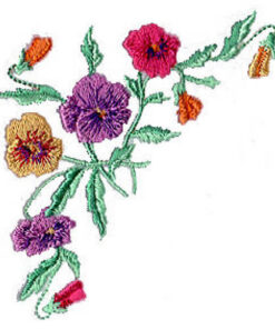 Happy Pansies