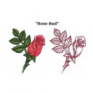 Rose Bud and Roses are Red
