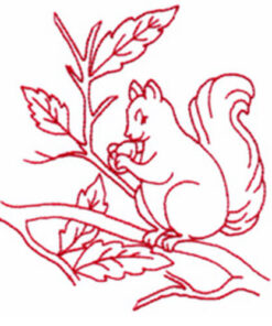 Squirrel and Owl