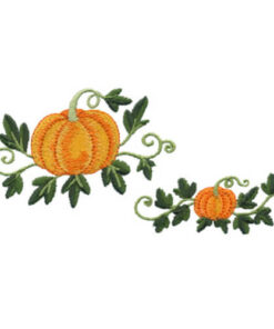 Pumpkins with Vine 