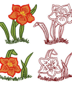 Daffodil 1