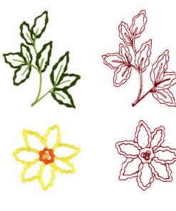 Wildflower & Wildflower Leaves