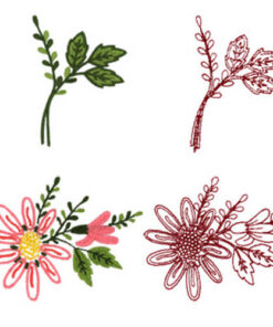 Marguerites & Marguerites Leaves