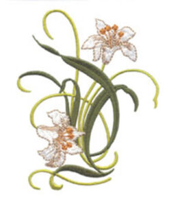 Lilies