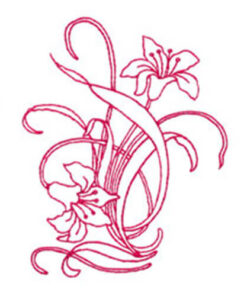 Lilies