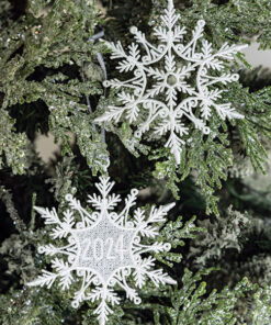 2024 snowflake ornaments