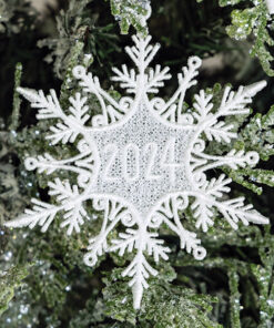 2024 snowflake ornaments