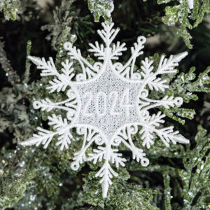 2024 snowflake ornaments