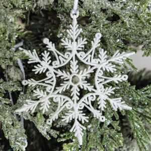 2024 snowflake ornaments